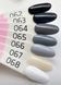 Гель лак Toki Toki #064, 5 мл 322 фото 3