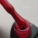 Гель лак DIS Color Gel Polish #041, 8 мл 5803 фото 1