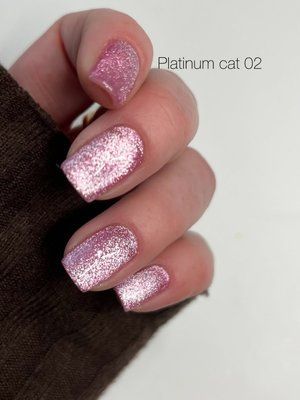Гель лак кошаче око Danny Platinum Cat Eye #02, 8 мл 4926 фото