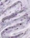 Гель з сухоцвітами ART Builder Gel Milky Flowers #01, 15 мл 4140 фото 1